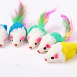 Chuột lông vũ đồ chơi cho mèo🐹