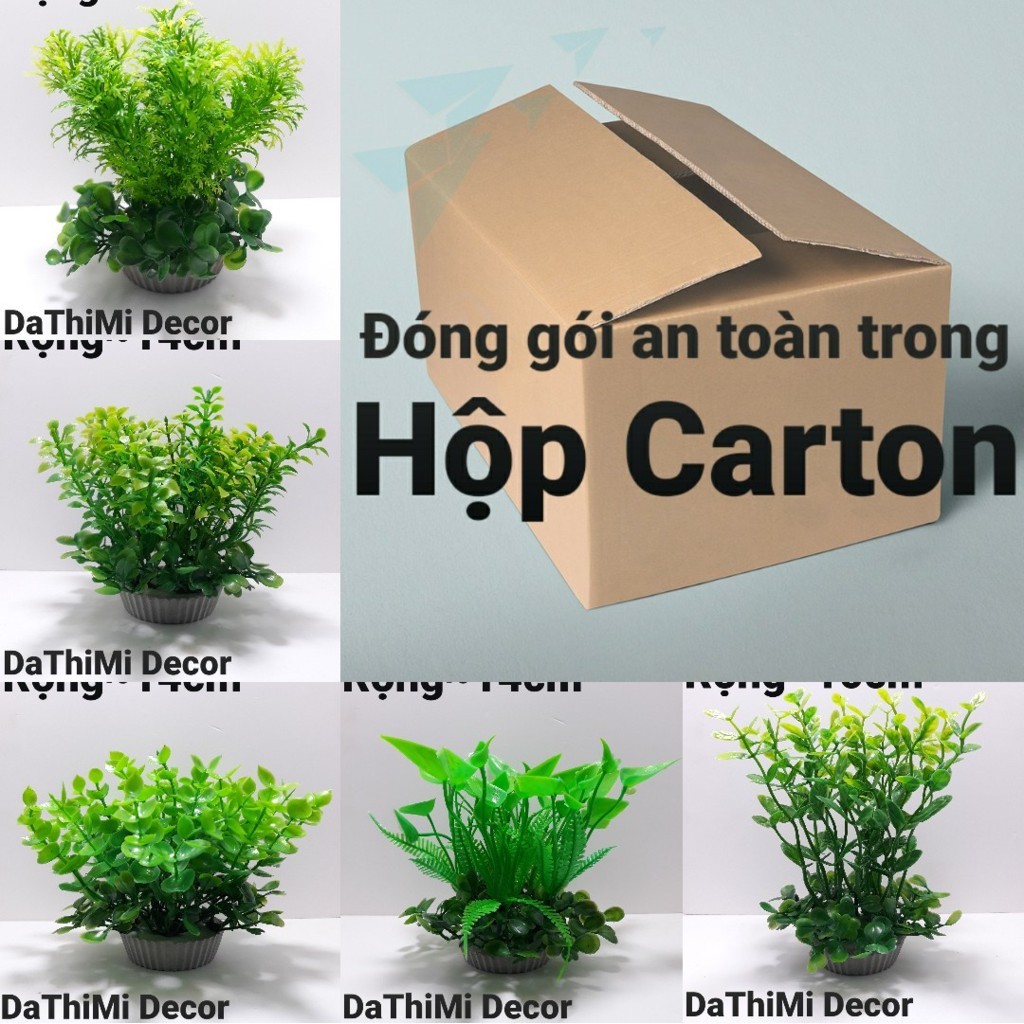 Cây cỏ nhựa Size Nhỏ dùng để trang trí hồ cá, tiểu cảnh, bàn làm việc, bàn học .