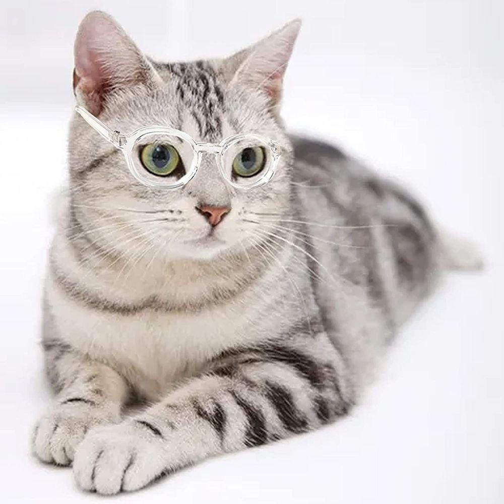 GIOVANNI Kính Mát Gọng Nhựa Nhiều Màu Cho Thú Cưng