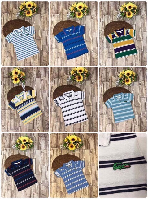 Áo phông Lacoste bé trai