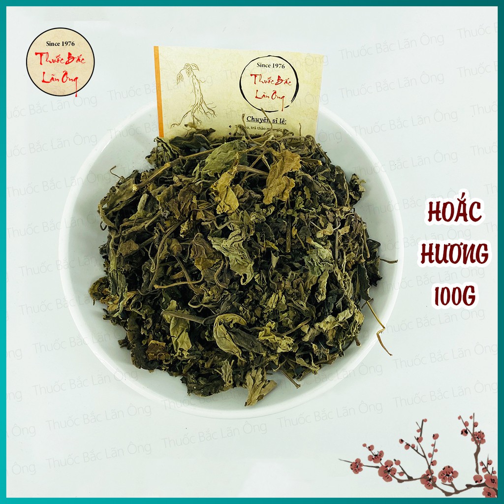 Hoắc hương 100g (Quảng hoắc hương)
