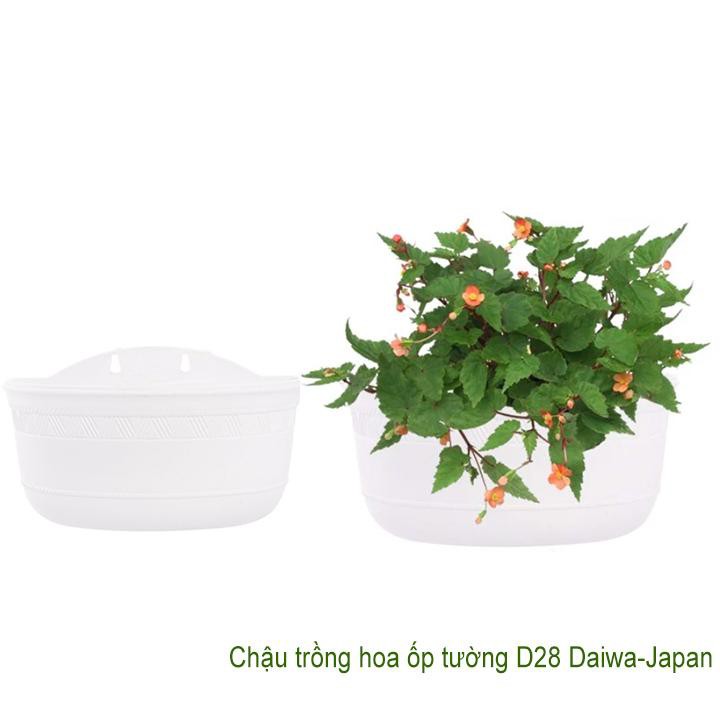 Bộ 2 Chậu nhựa trồng hoa Nhật Bản, Daiwa, D28xR16xC13cm, tặng kèm 4 móc inox, độ bền 5 năm |Greenhome