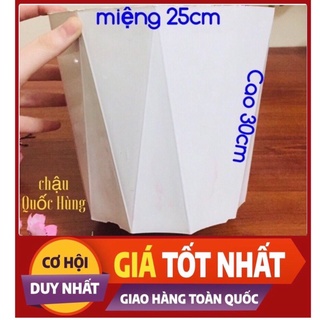 5Cái Chậu kim cương trồng cây,trồng hoa size nhỏ