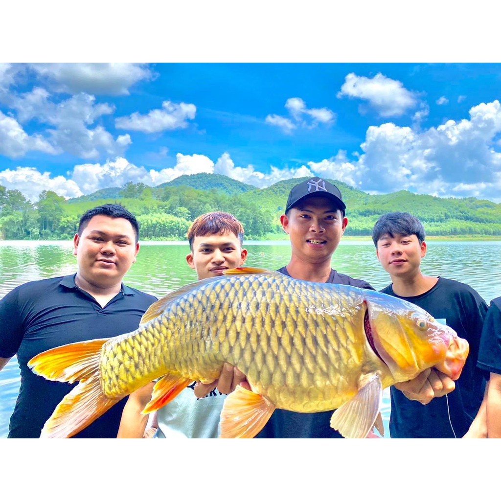 Cám câu cá Lk Thính Lk Mồi câu cá chép, trắm, trôi, tổng hợp siêu nhạy