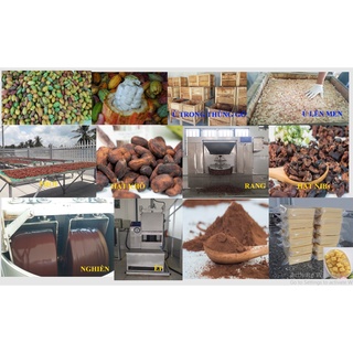 Hạt ca cao bể - Cocoa Nibs - 250g