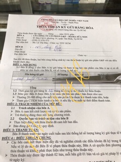 hoạt huyết t-đình g&p