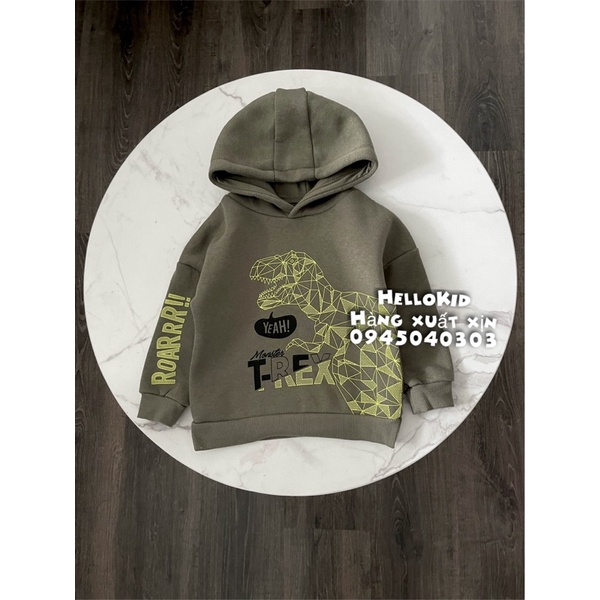 Áo nỉ hoodie khủng long vân nổi cho bé