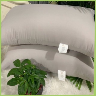 Ruột gối gucci khách sạn 5* cao cấp 1,8kg 1 đôi