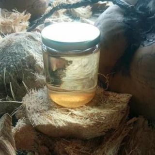 Tinh dầu dừa nhà xoài
