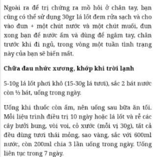 25 Cành lá nốt giống