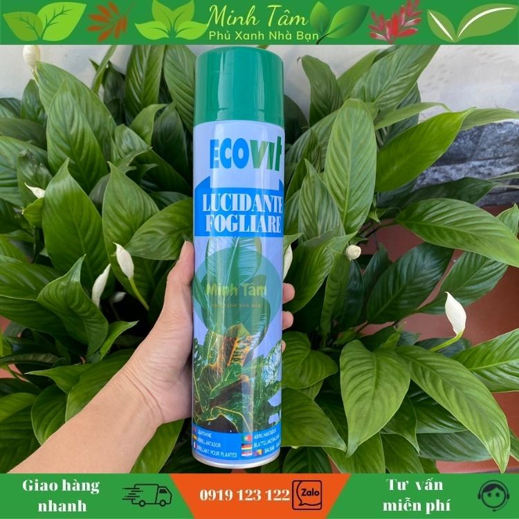 chai xịt bóng lá chai 600ml