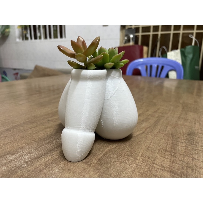 Chậu cây hình dáng độc lạ - in 3d - mô hình nhựa in