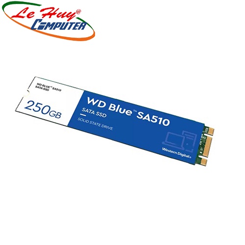 Ổ cứng SSD Western Digital Blue SA510 250GB M.2 2280 WDS250G3B0B