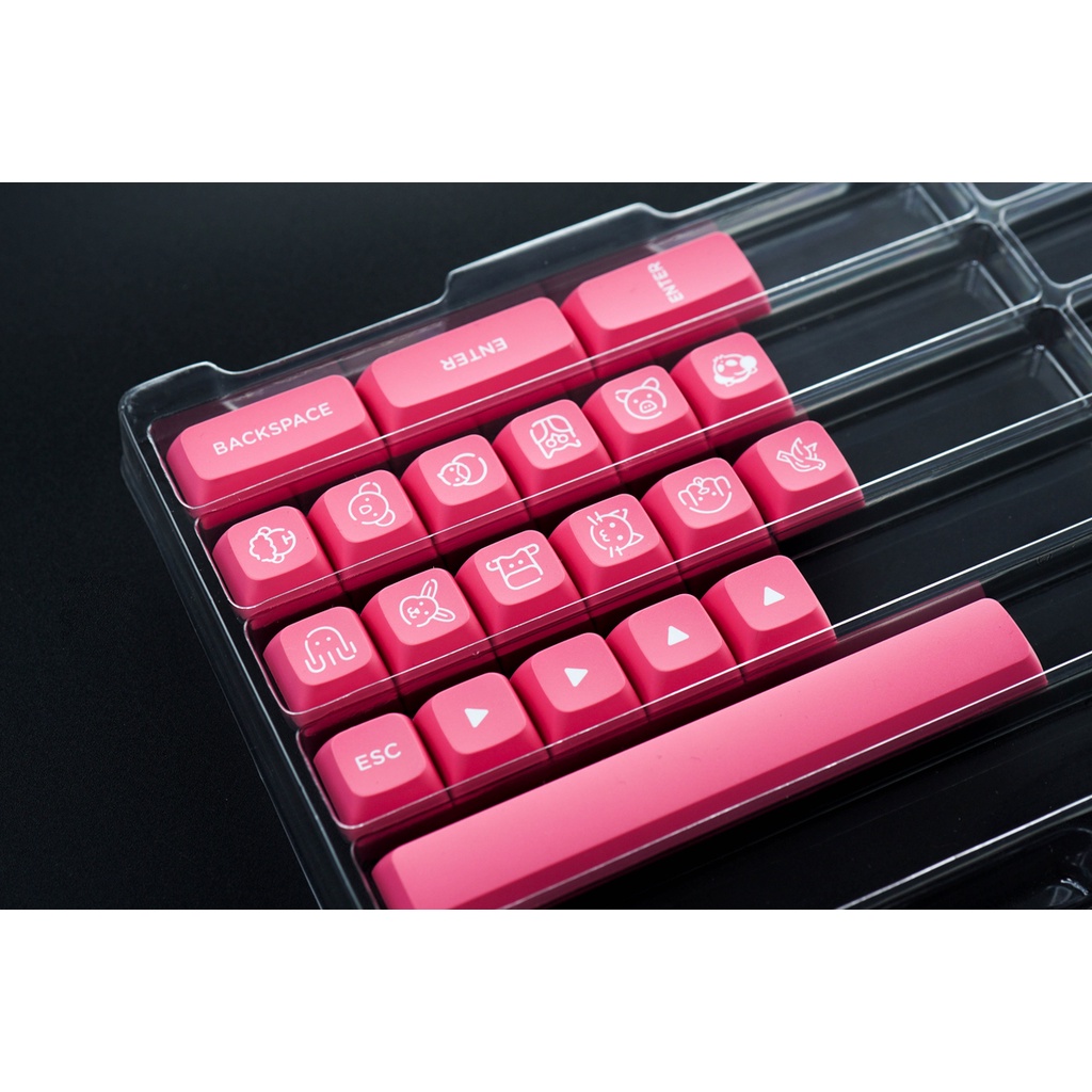 Bộ AKKO Keycap set cho bàn phím cơ – Prunus Lannesiana (PBT Double-Shot/ASA Low profile/155 nút)