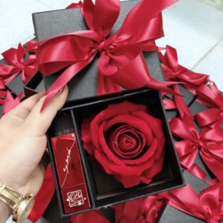 Son may mắn LUCKY LIPSTICK( Sài Gòn)