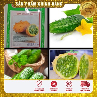 Hạt Giống Dưa Chuột Gai (5 Hạt)