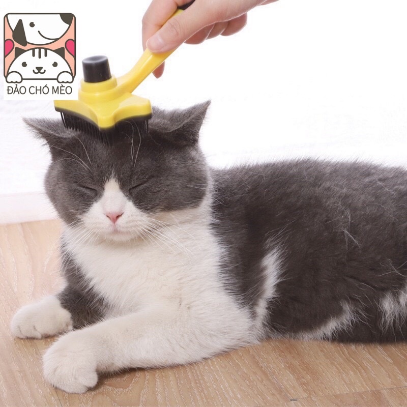 Lược chải lông cho thú cưng tự động có nút bấm gỡ lấy lông tiện lợi cao cấp nhiều màu tùy chọn - Đảo Chó Mèo Official