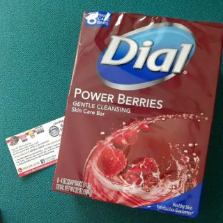Sữa tắm gội Dial Kids Berry Cool hương Berry cho Bé trên 6 tuổi - 355ml