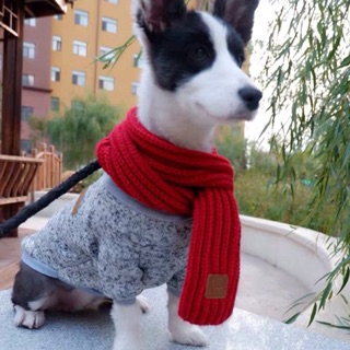 KHĂN LEN CHOÀNG CỔ CHO CHÓ MÈO