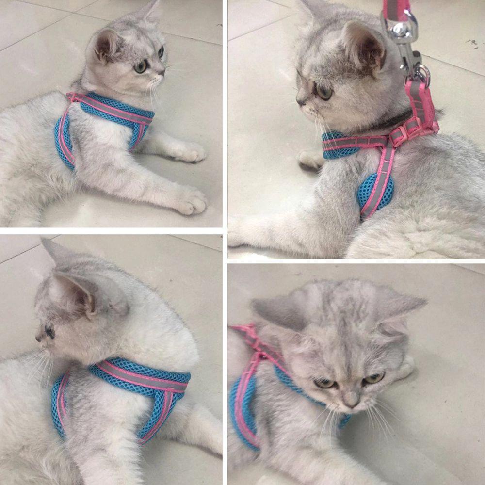 Đai Dắt Thú Cưng Phản Quang Tiện Dụng