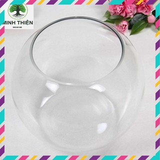 Chậu thủy tinh, bể cá trang trí 14cm x 12cm - to1