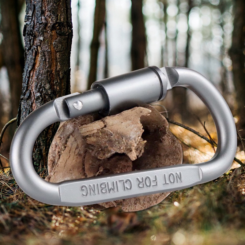 Móc Khóa Carabiner hình chữ D