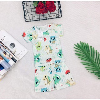 combo 10 bộ sợi tre