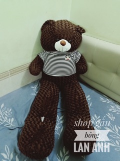 - gấu bông teddy 2m