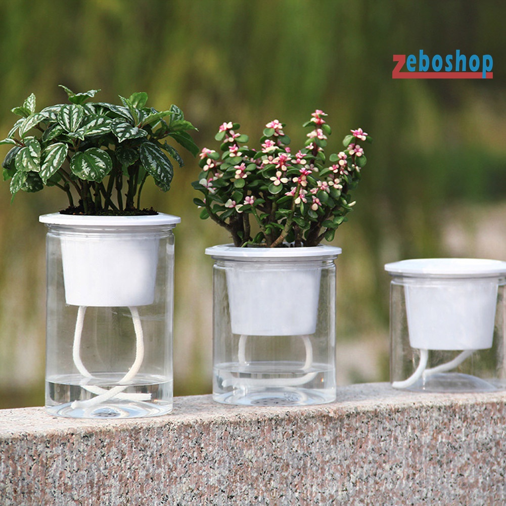Chậu Hoa Hấp Thụ Nước Tự Động Bằng Resin Resin