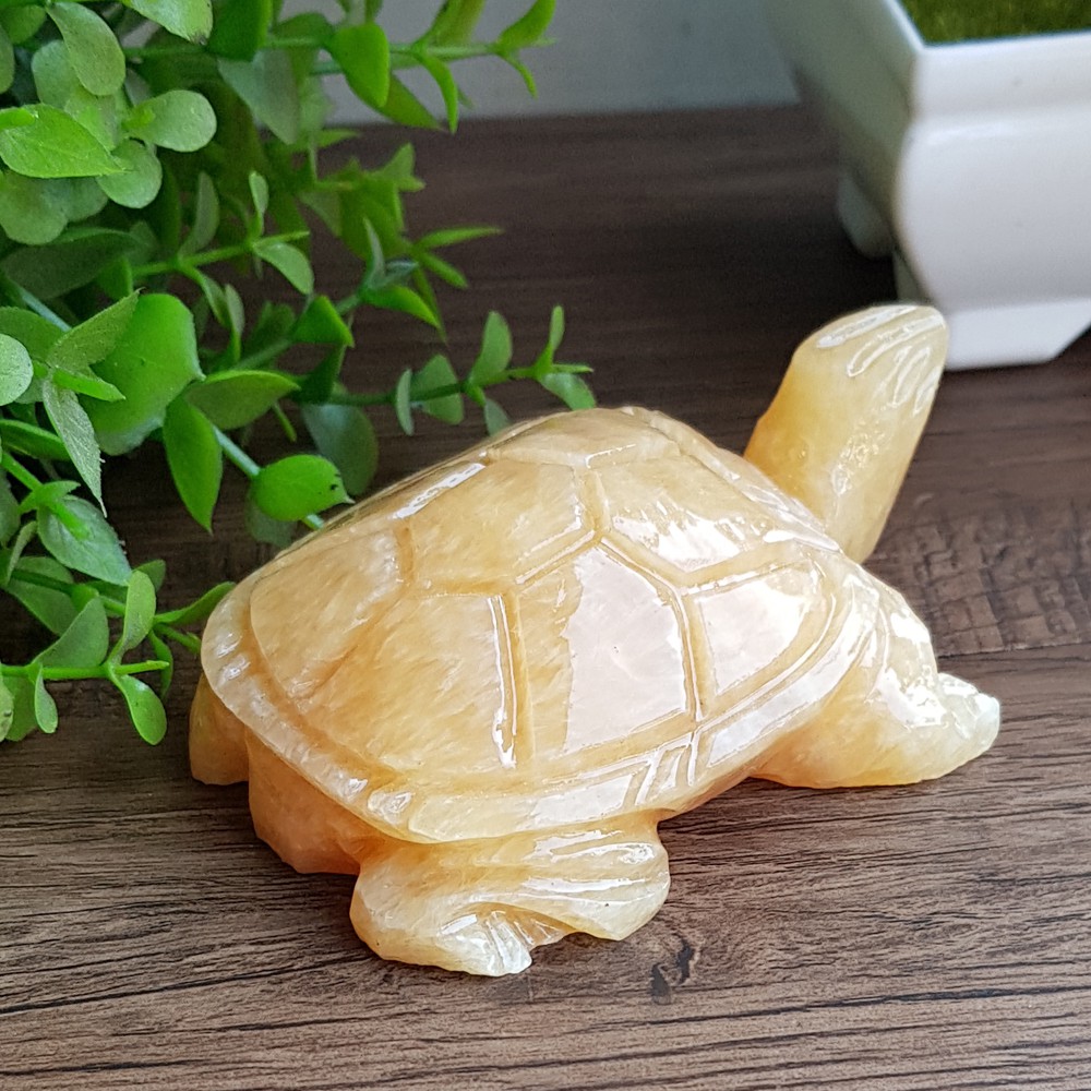 Cụ Rùa bằng đá tự nhiên size 8cm