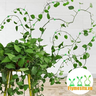 Bộ 10 dụng cụ cố định dây điện tiện dụng