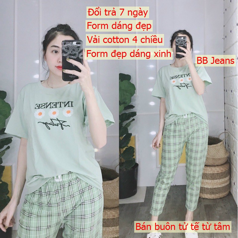 [40-85KG] đồ bộ nữ cotton lửng SET đồ bộ nữ cotton cao cấp INTENSE đủ màu co dãn đứng ngồi thoải mái đẹp bất ngờ Panda