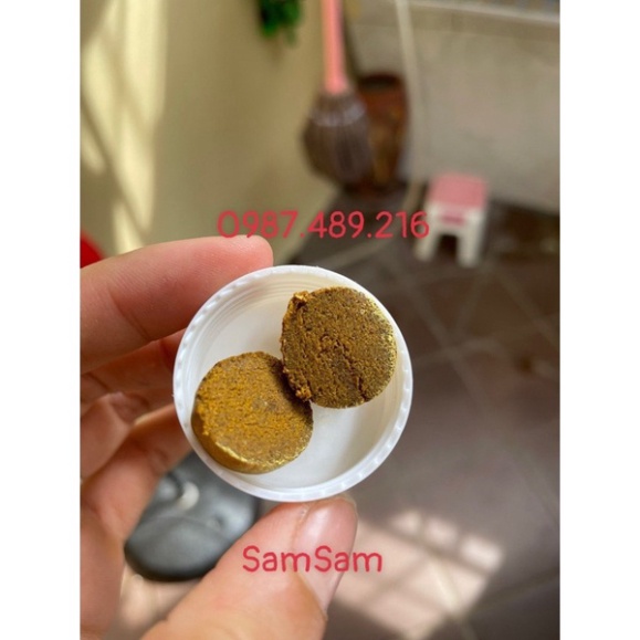 AN CUNG NGƯU HOÀN HOÀN HÀNH HIỆU THUỐC NỘI ĐỊA[ tem đen date 2026] [ Hàng Mới Về ]