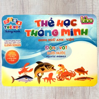 Flashcard Glenn Doman – Động Vật Dưới Nước