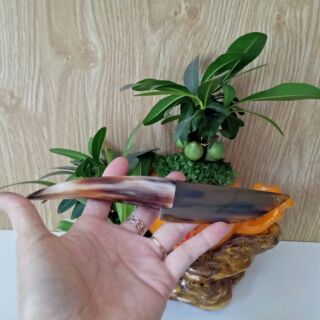 Dao sừng dọc giấy ,nhiều màu