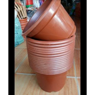 Chậu trồng hoa đẹp rộng 24cm x16cm