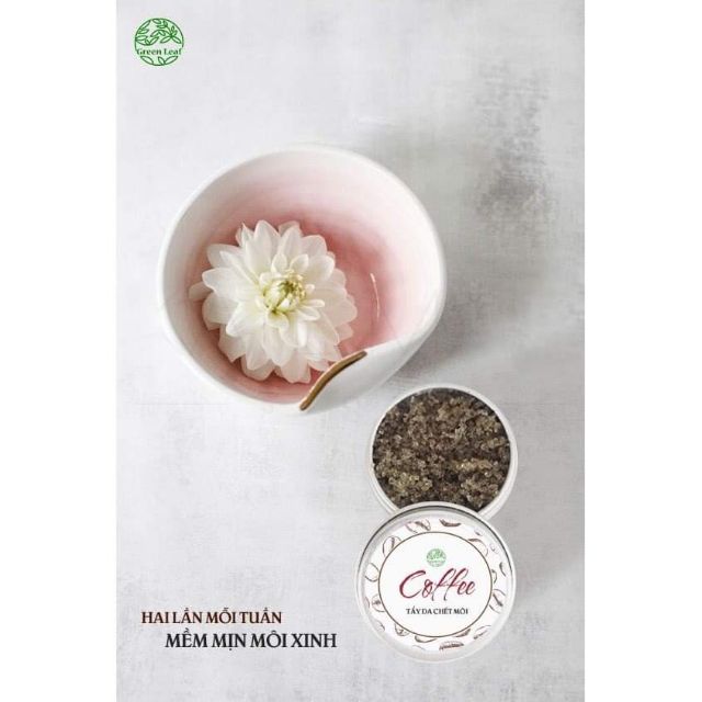 Tẩy Da Chết Môi GREEN LEAF chiết xuất cà phê 15g Thanks gilr