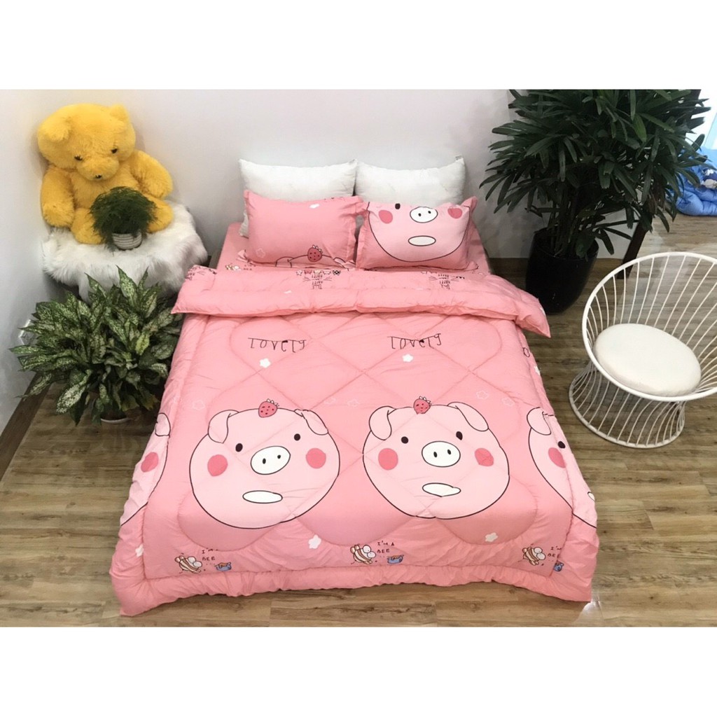 Bộ Chăn Ga Gối Cotton Poly Chăn Chần Bông 5 Món Có Sẵn