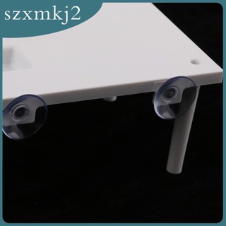 Reptile  - Máng leo cao cấp, máng nhựa cho rùa cảnh, rùa nước, thú cưng, bò sát