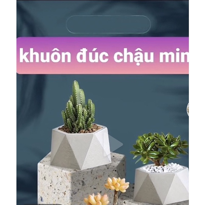 Khuôn chậu abs mini dùng trồng cây mini, sen đá