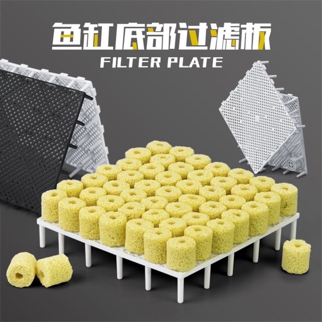 BÁN SỈ Tấm lót đáy bể lọc 1 thùng 300 miếng