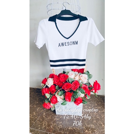 Áo mongtegi dáng croptop