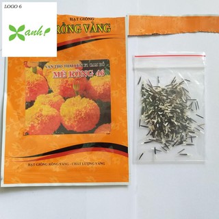 Hạt giống Vạn Thọ Thái Rồng Vàng F1, Hoa to 8-10cm, Màu Cam, Vàng; Cao Lỡ, Lùn - Sự lựa chọn của nhà vườn trồng Hoa Tết)