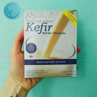 Men khô làm sữa chua Kefir
