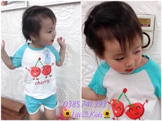 Bộ bèo hoa quả ( Hàng sẵn - Ảnh thật) 💐💐💐