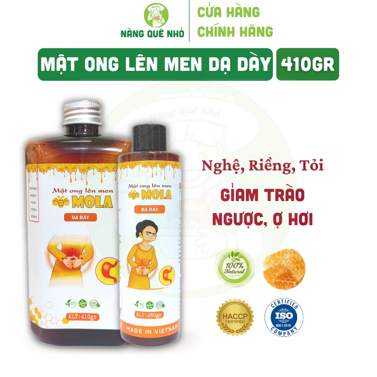 Mật Ong Lên Men MOLA Dạ Dày Nghệ Riềng Giảm Đau Bụng Bổ Sung Lợi Khuẩn Hỗ Trợ Tiêu Hóa Hộp 260g