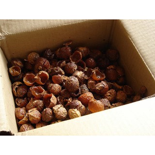 BỒ HÒN TÁCH HẠT 500GR
