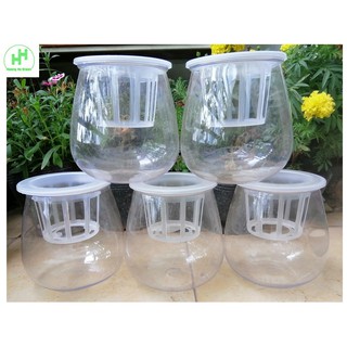 ComBo 5 Chậu Nhựa Trồng Cây Thủy Sinh, Kích Thước 10x10x13Cm