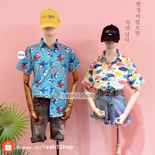 - áo sơ mi cá 7 màu/ cá mập
