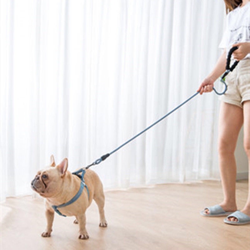 Dây Dắt Chó - Yếm Cho Chó Mèo giahuypetshop